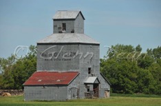 Dauphin area farm
July 2009